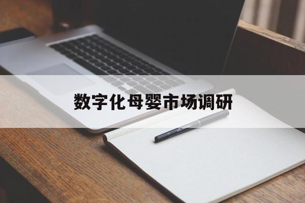 贺州市数字化母婴市场调研(数字化母婴市场调研报告)